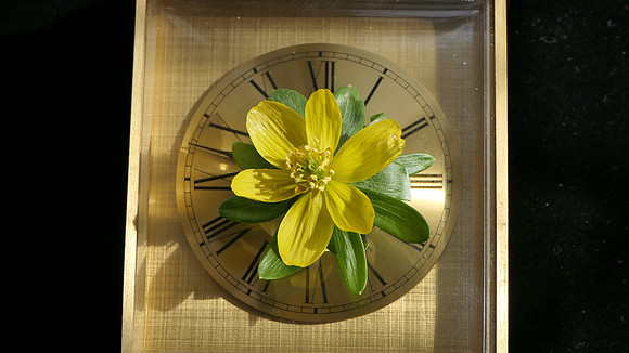 Spring Forward