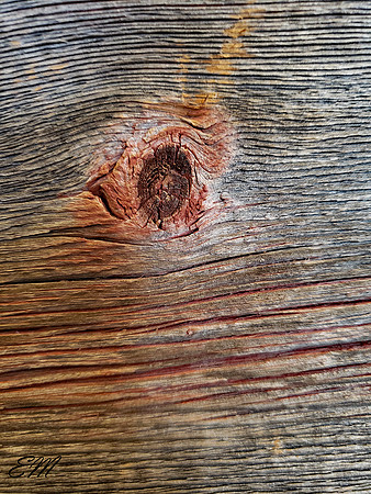 Patterns in the Wood