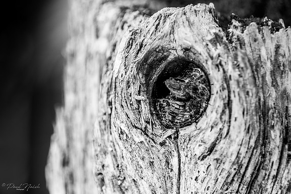 Knot to You