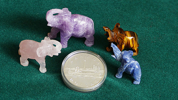 ELEPHANT PICNIC  (the Cdn Silver Dollar shows the dimensions)