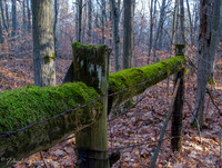 Walker Woods and Woodmill
