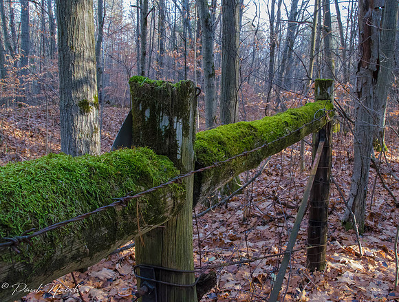 Walker Woods and Woodmill