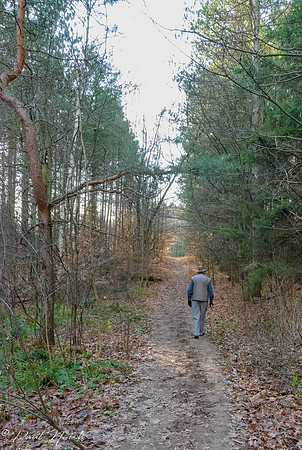 Sig Walking