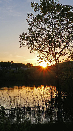 Last Peek at the Pond