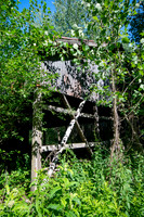 James Walker Drying Shed