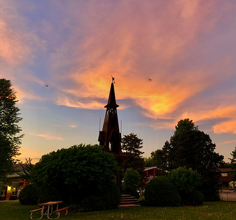 Nature's Surprise in Uxbridge