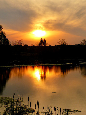 Our own "Golden Pond"
