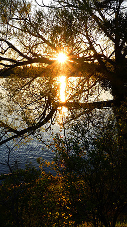 Musselmans Lake Sunset