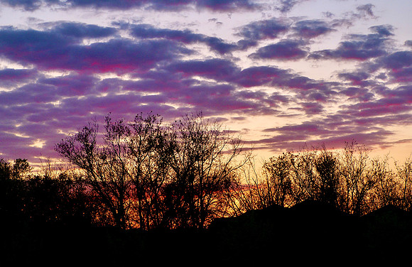 Purple Twilight