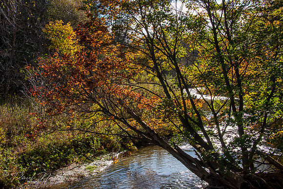 Seton Trail - South from Whitevale