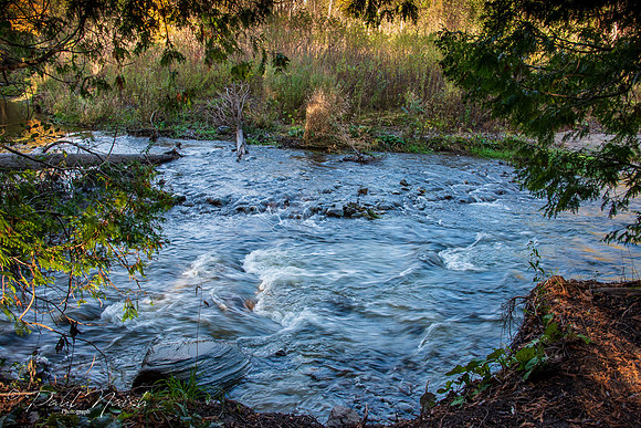 Seton Trail - South from Whitevale