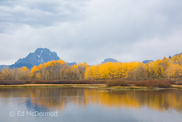 Fall in the Grand Tetons