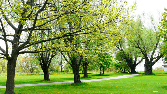 Toronto Islands