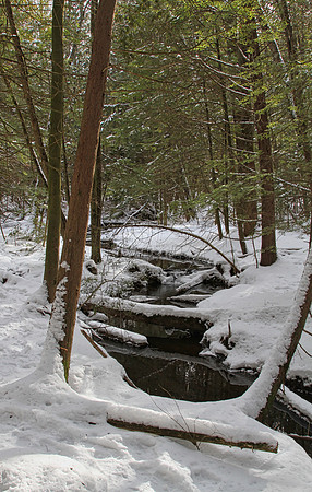 Hollidge Tract (entrance Ninth Line) Feb 10/21