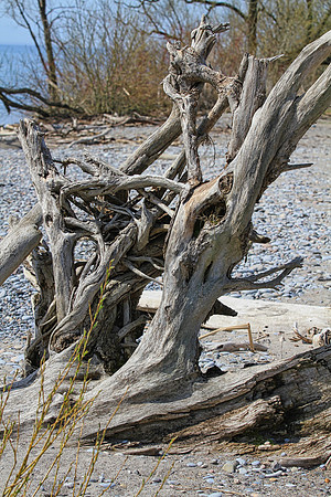 Lynde Shores May 5,2022