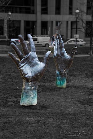 Hands Across the Lawn