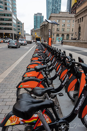 City  Bike Rental Rack