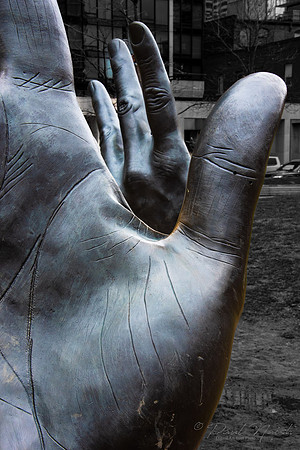 Hands Across the Lawn