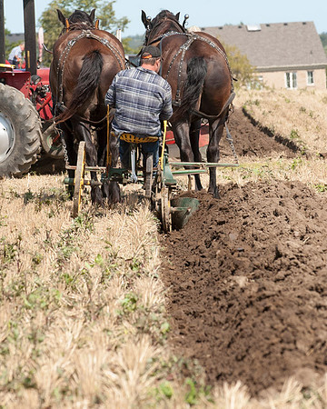 single plow sitting-YPA-2017