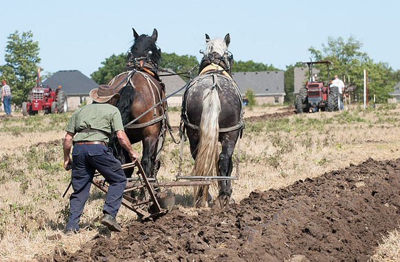 single plow reverse angle-YPA- 2017