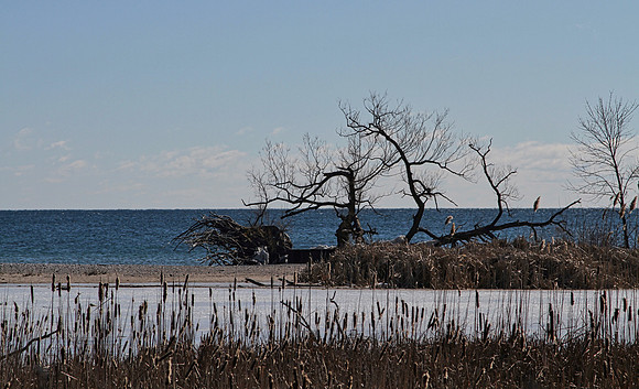Lynde Shores Mar 5/2021