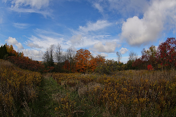 Pefferlaw Creek Farms Oct 20/2020