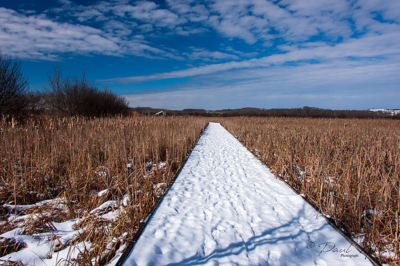 Wye Marsh