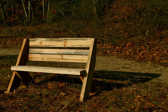 Walker Woods Nov 20/2020