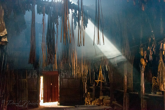 Inside Long House