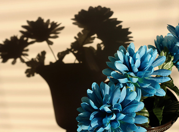 Mary - Blue/Black Fakery - Shadow