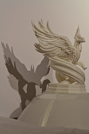 Phoenix and its shadow