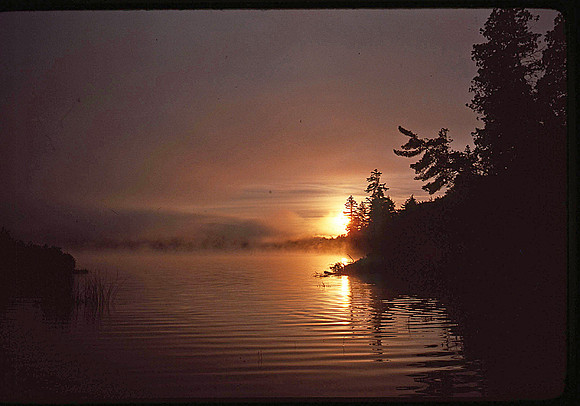 Pine Lake Silhouettes-Sig