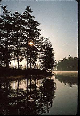 Pine Lake Morning-Sig
