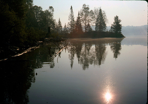 Pine Lake Shadows and Silhouettes-Sig