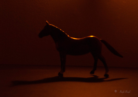 Silhouette