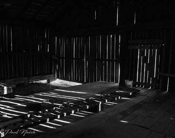 Inside the Woodmill - Shadows & Silouettes