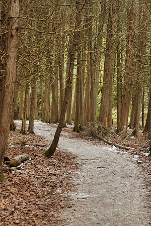Uxbridge Trail (beside Rona) Dec 22/2020