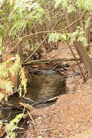 Uxbridge Trail (beside Rona) Dec 22/2020