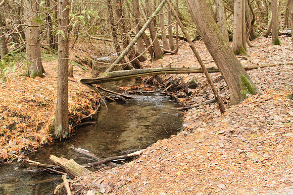 Uxbridge Trail (beside Rona) Dec 22/2020