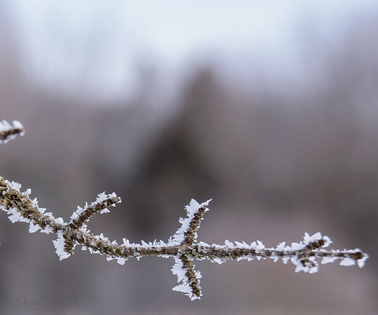 Secord Forest and Wildlife Area