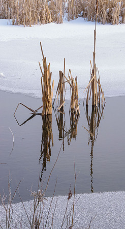 Secord Forest and Wildlife Area