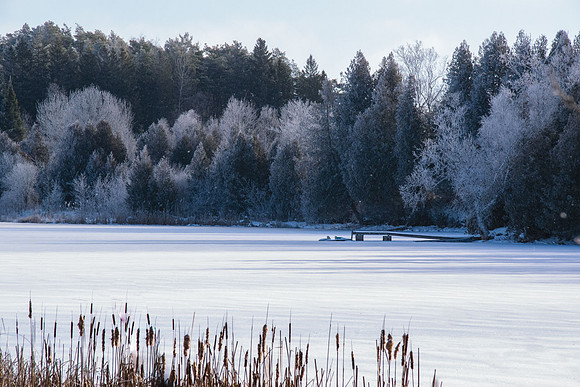 Dock of One of the Residents