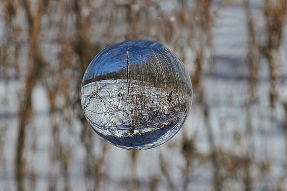 Uxbridge Trail (beside Rona) Feb 4/2021