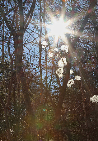 Uxbridge Trail (beside Rona) Feb 4/2021