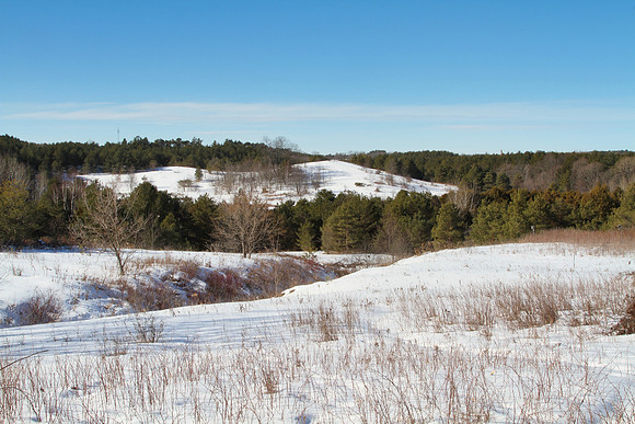 Uxbridge Trail (beside Rona) Feb 4/2021