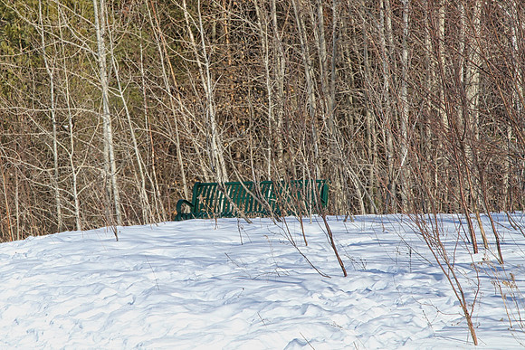 Uxbridge Trail (beside Rona) Feb 4/2021