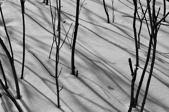 Uxbridge Trail (beside Rona) Feb 4/2021
