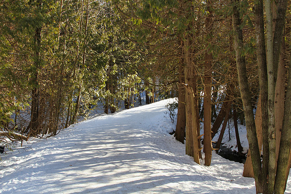 Uxbridge Trail (beside Rona) Feb 4/2021