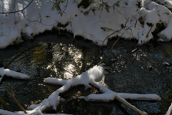 Uxbridge Trail (beside Rona) Feb 4/2021