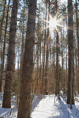 Uxbridge Trail (beside Rona) Feb 4/2021